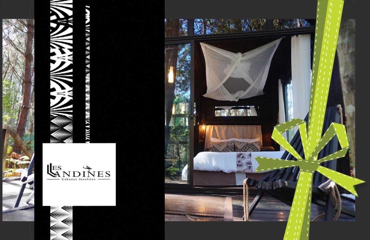 Les Landines Bed & Breakfast Origne  Exterior photo