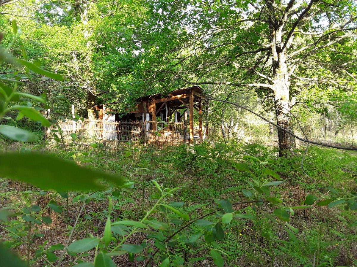 Les Landines Bed & Breakfast Origne  Exterior photo