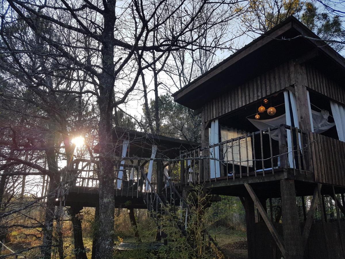 Les Landines Bed & Breakfast Origne  Exterior photo