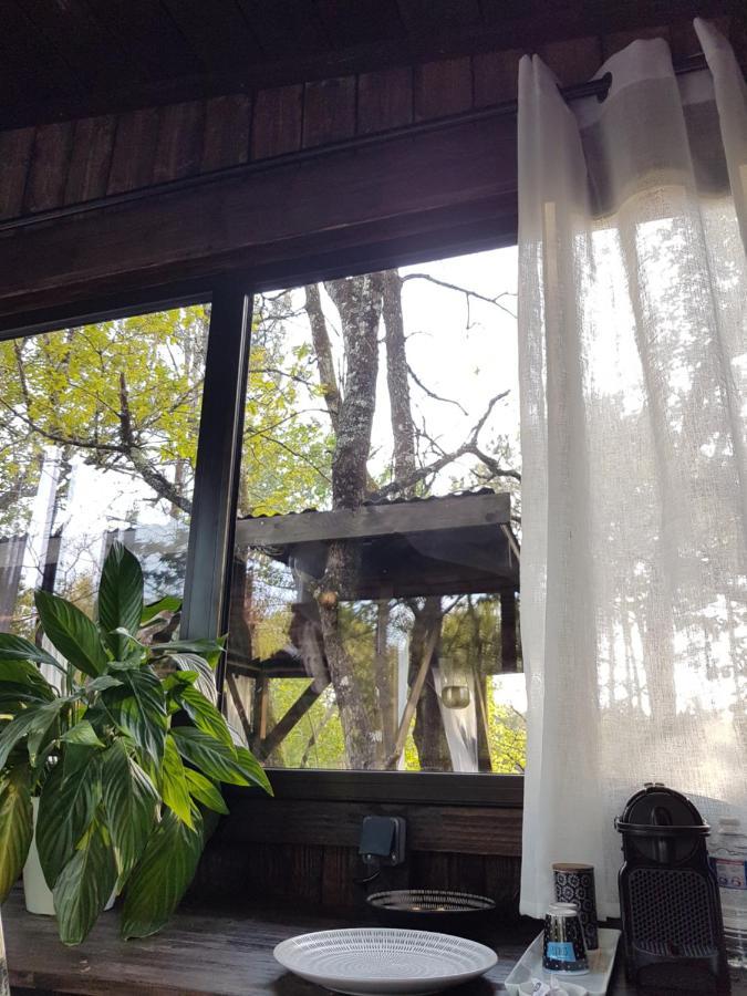 Les Landines Bed & Breakfast Origne  Exterior photo
